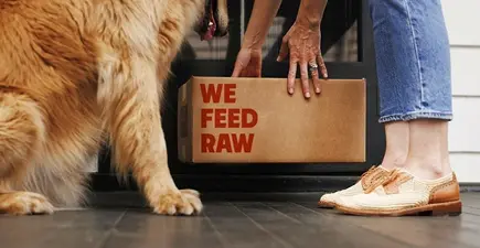 Close up of cardboard box with We Feed Raw printed on it being placed on the ground by woman in front of her dog
